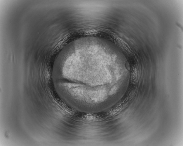 X0000096220608200802081527