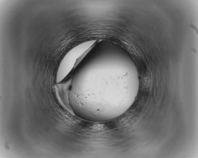 X0000096220609200802081527