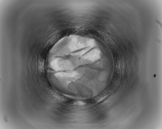 X0000096220610200802081527