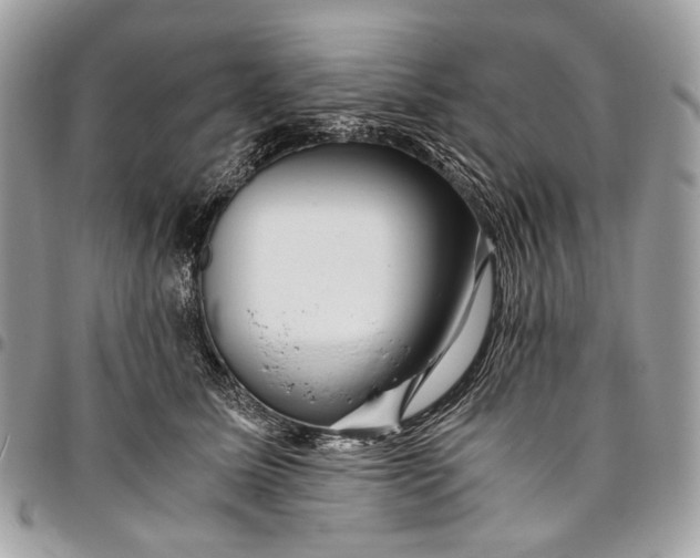 X0000096220611200802081527