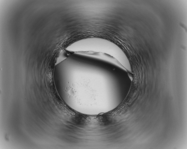 X0000096220613200802081527