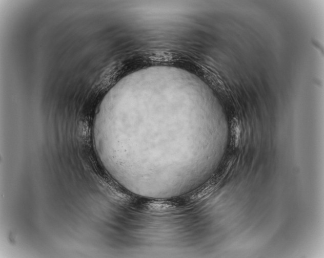 X0000096220614200802081527