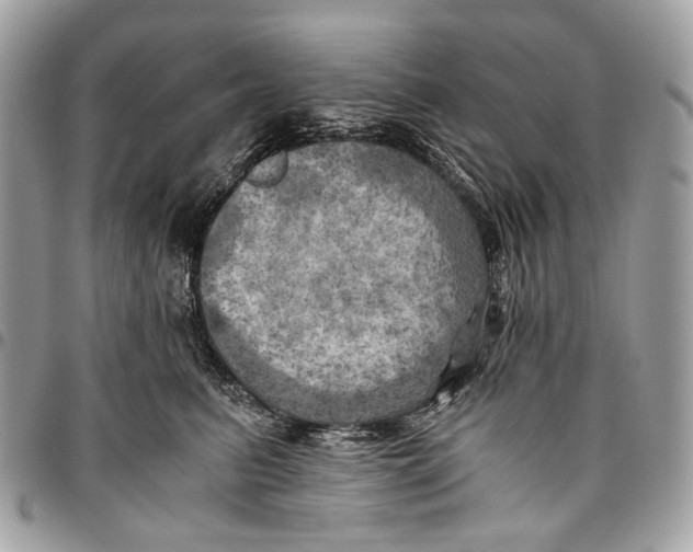 X0000096220615200802081526