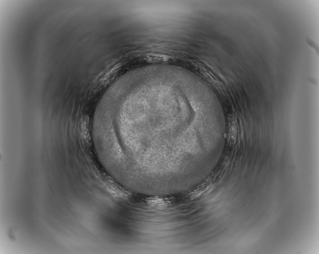 X0000096220616200802081526