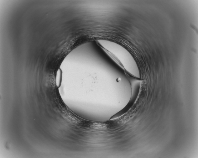 X0000096220617200802081526