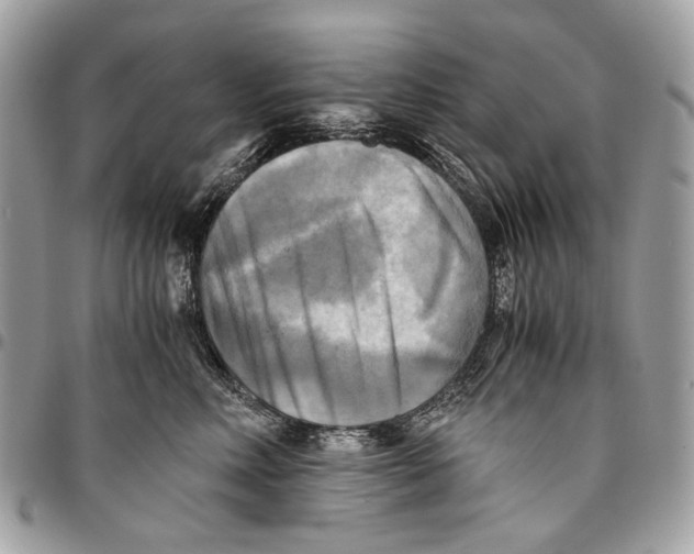 X0000096220618200802081526