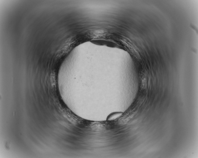 X0000096220620200802081526