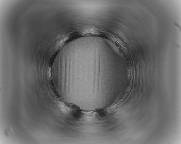 X0000096220621200802081526