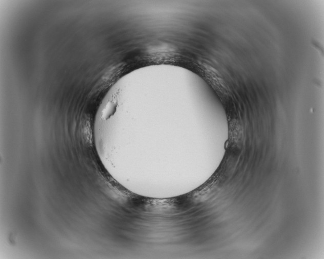 X0000096220622200802081526