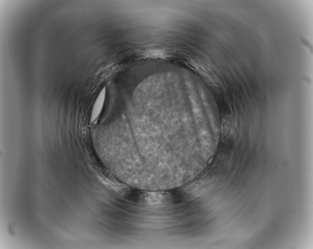 X0000096220623200802081526