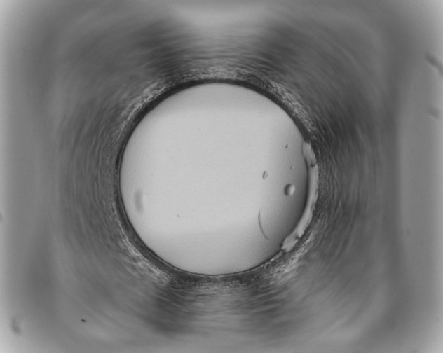 X0000096220625200802081526