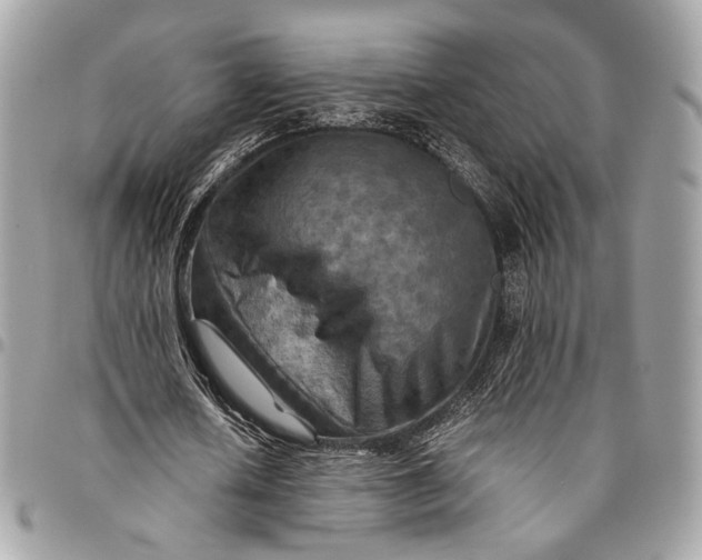 X0000096220626200802081526