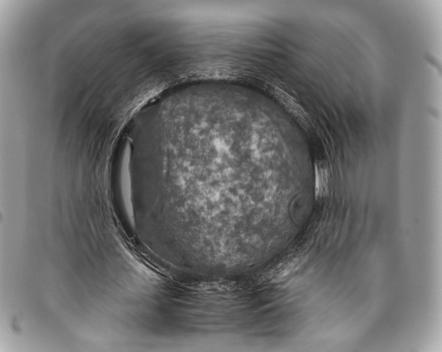 X0000096220627200802081526