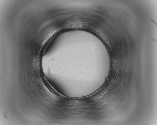 X0000096220629200802081526