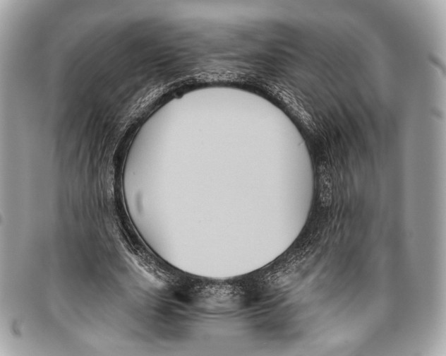 X0000096220631200802081526