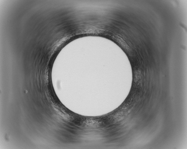 X0000096220632200802081526