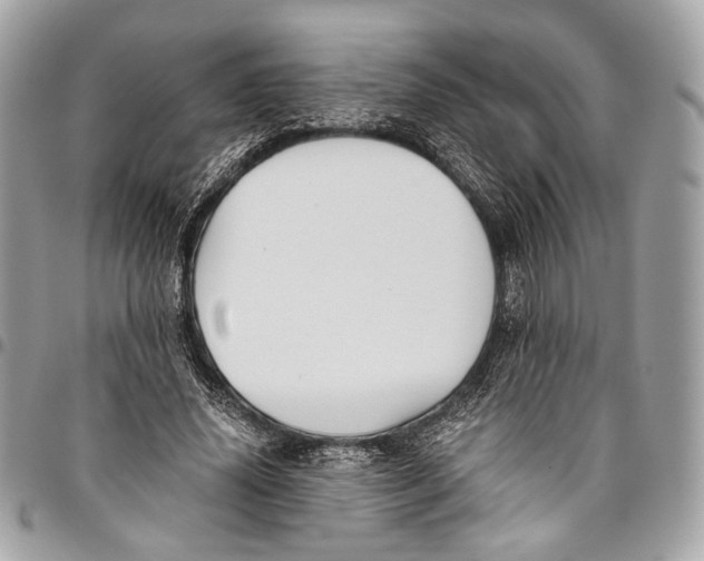 X0000096220636200802081526