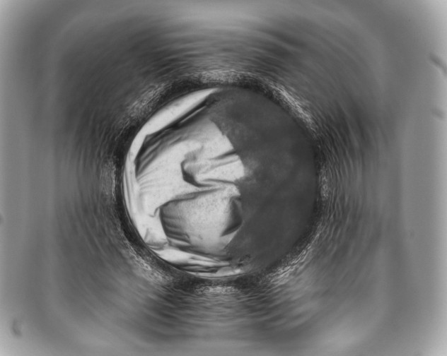 X0000096220637200802081526