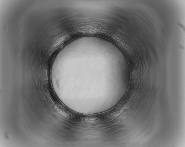 X0000096220638200802081526