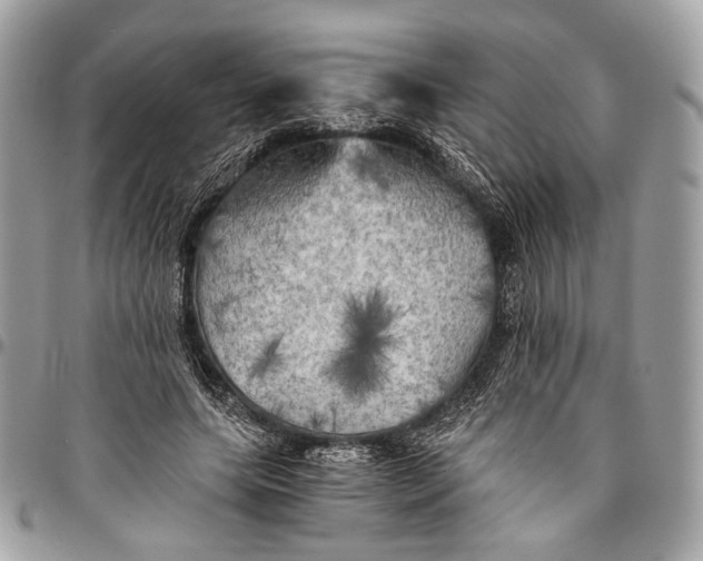 X0000096220639200802081526