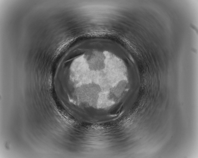 X0000096220640200802081526