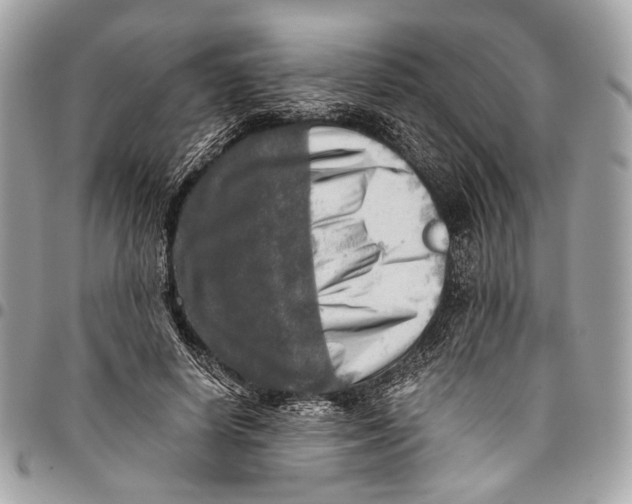 X0000096220642200802081526