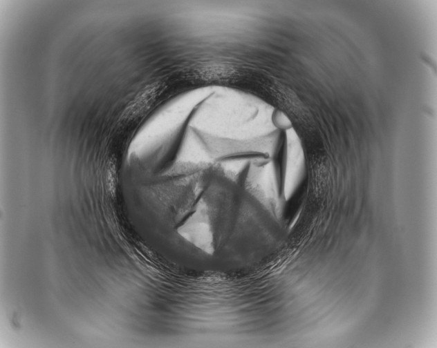 X0000096220644200802081526