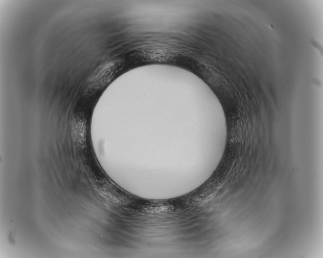 X0000096220646200802081526