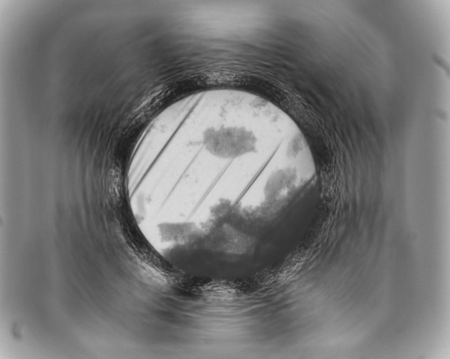 X0000096220648200802081526