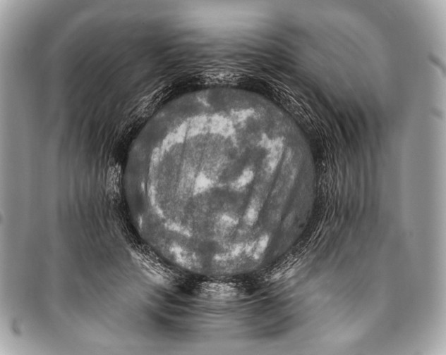 X0000096220649200802081526