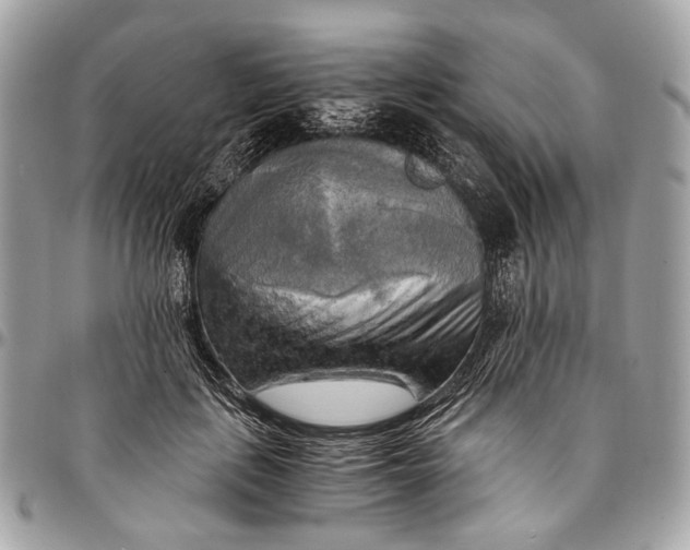 X0000096220651200802081526