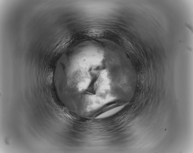 X0000096220652200802081526