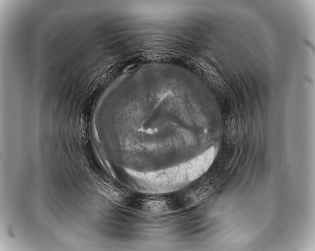 X0000096220653200802081526