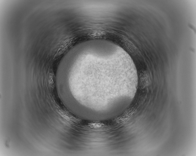 X0000096220654200802081526