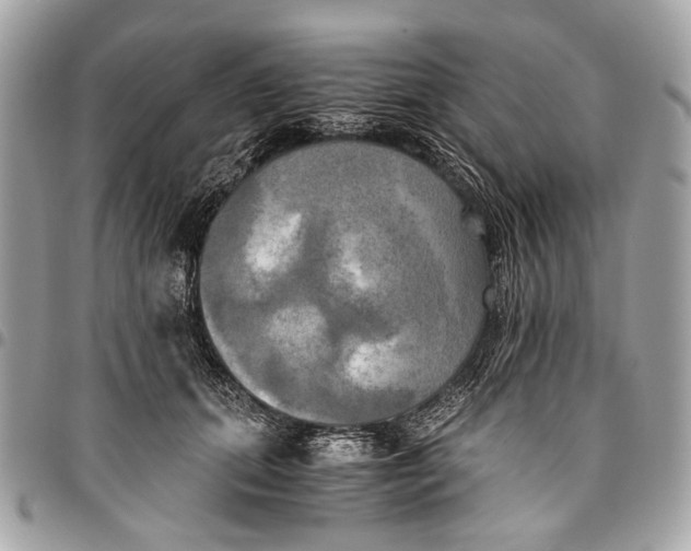 X0000096220655200802081526