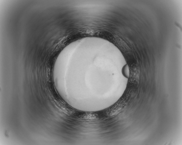 X0000096220656200802081526