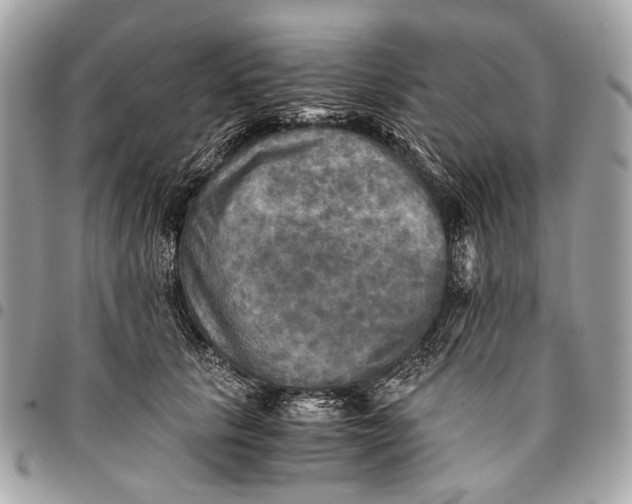 X0000096220657200802081526