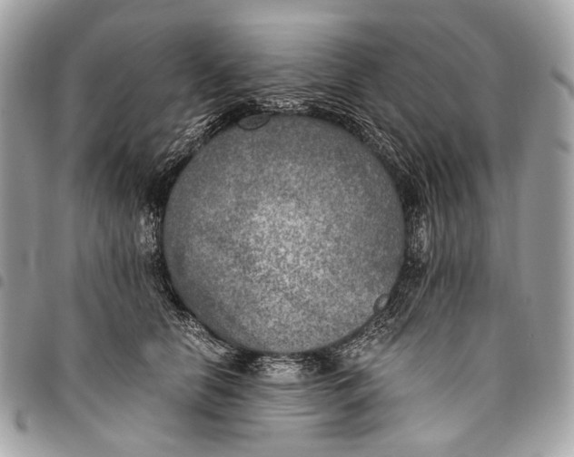 X0000096220658200802081526