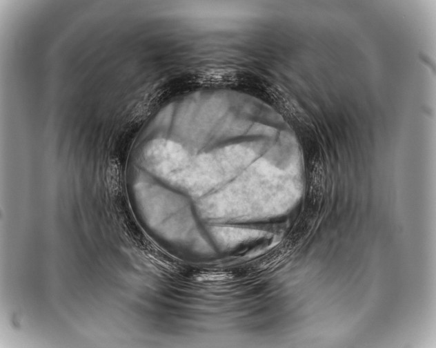 X0000096220659200802081526