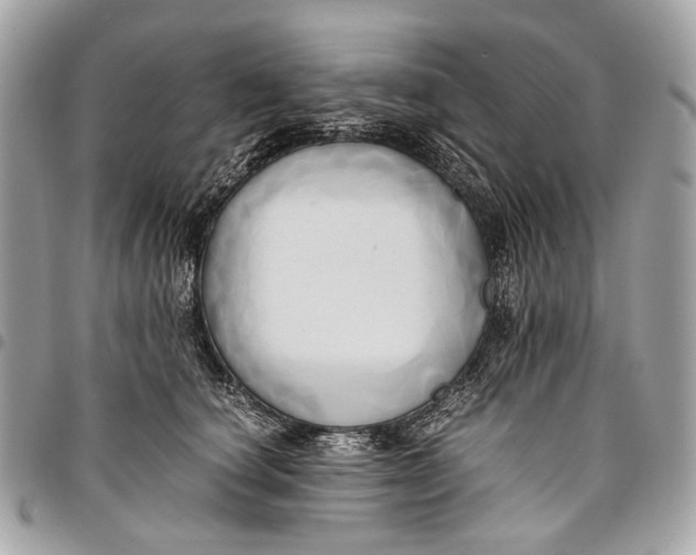 X0000096220660200802081526