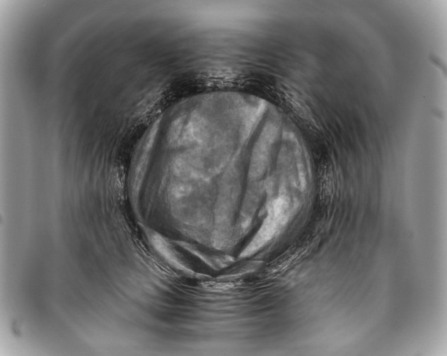 X0000096220661200802081526