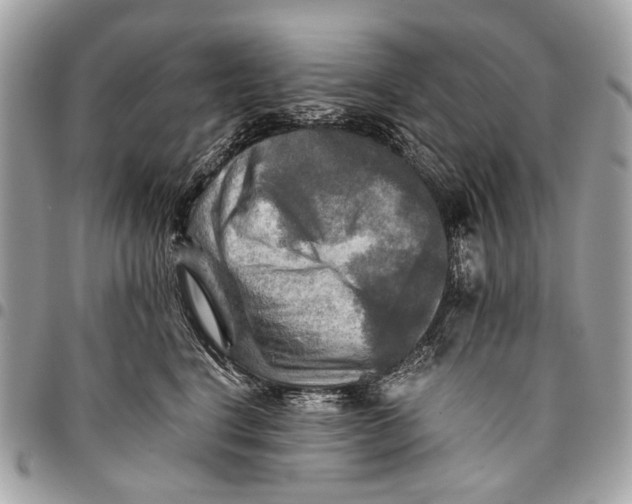 X0000096220664200802081526