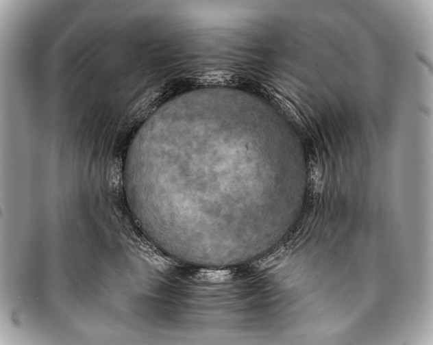 X0000096220665200802081526