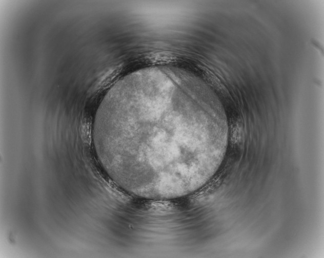 X0000096220666200802081526