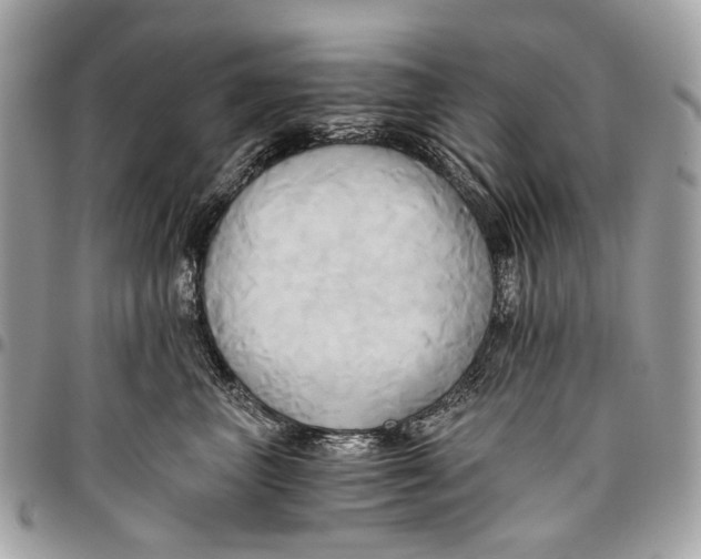 X0000096220667200802081526