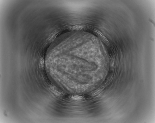 X0000096220669200802081526