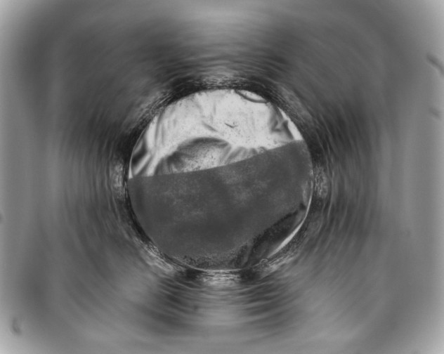 X0000096220670200802081526