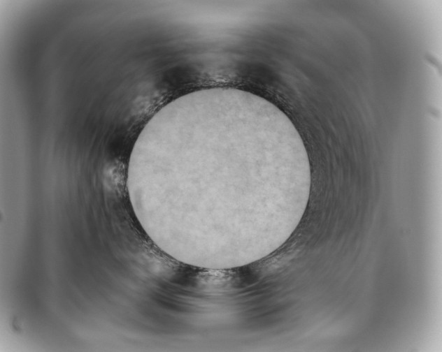 X0000096220672200802081526