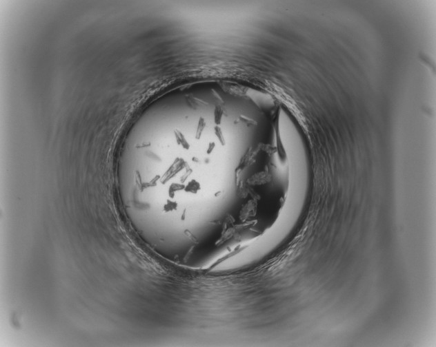 X0000096220673200802081526