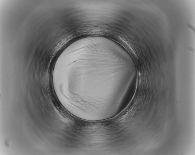 X0000096220674200802081526